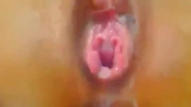 Primo piano della figa giapponese del bocciolo di rosa