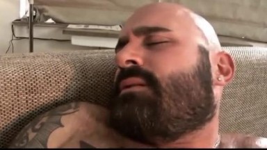 Orso grasso che accarezza il suo grosso cazzo