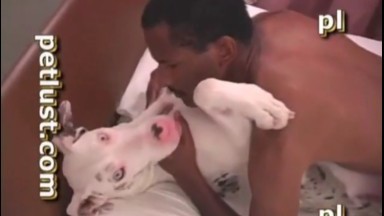 Un cane violentato da un grosso cazzo nero
